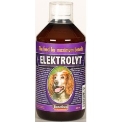 ELEKTROLYT pes 500 ml