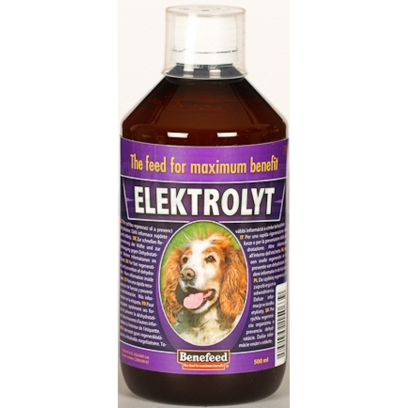 ELEKTROLYT pes 500 ml