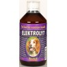 ELEKTROLYT pes 500 ml