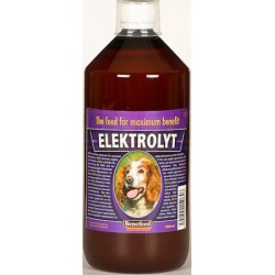 ELEKTROLYT pes 1000 ml