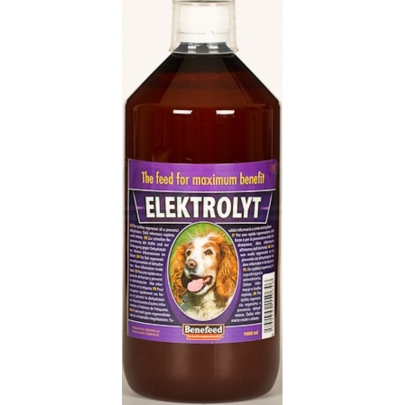 ELEKTROLYT pes 1000 ml