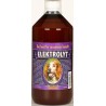 ELEKTROLYT pes 1000 ml
