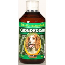 CHONDROXAN pes 500 ml
