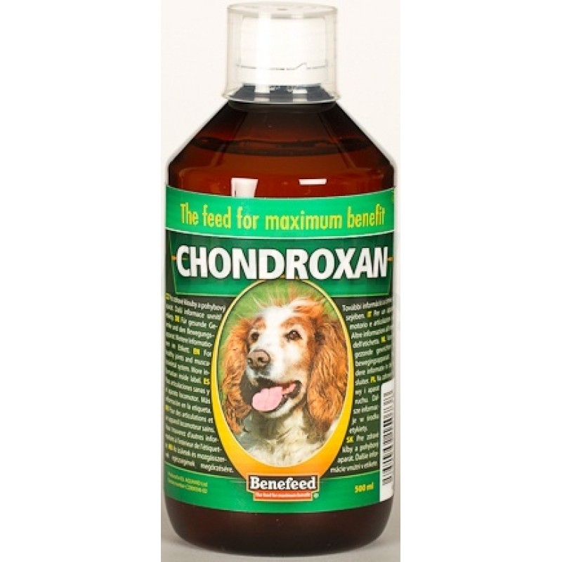 CHONDROXAN pes 500 ml