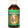 CHONDROXAN pes 500 ml