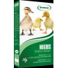 Mikros Drůbež - odchov 1 kg