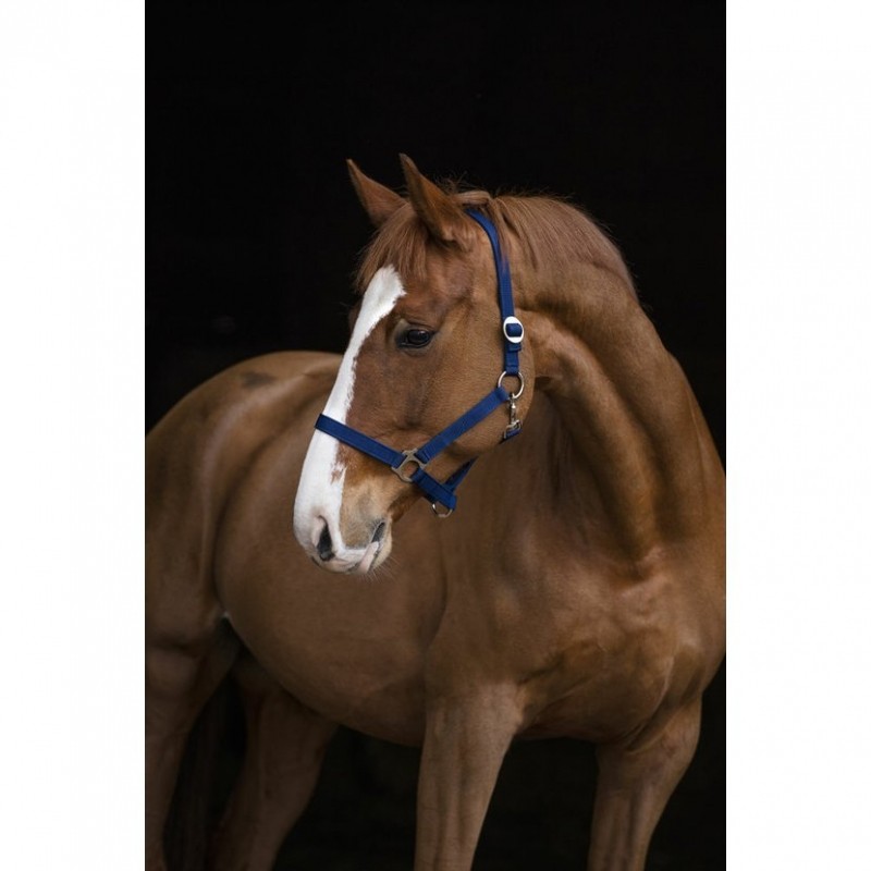 Stájová ohlávka pro koně, vel.1, různé barvy