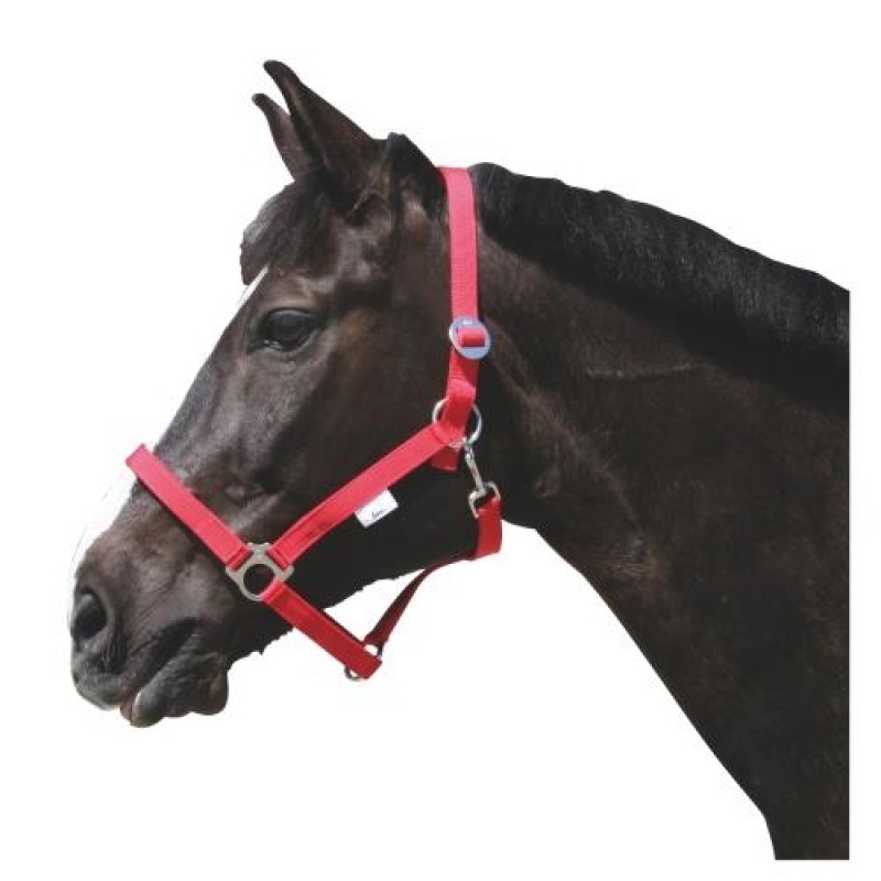 Stájová ohlávka pro koně, vel.2, různé barvy