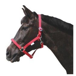 Stájová ohlávka pro koně, vel.3, různé barvy