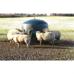 Příkrmiště pro ovce - ZVON