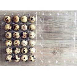 Transportní obal na 24 ks křepelčích vajec