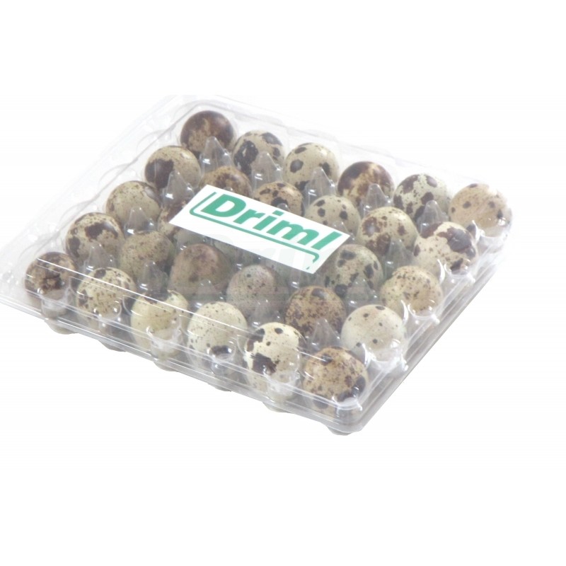 Transportní obal na 30 ks křepelčích vajec