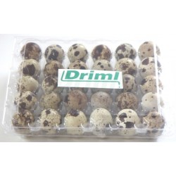 Transportní obal na 30 ks křepelčích vajec