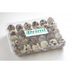 Transportní obal na 30 ks křepelčích vajec