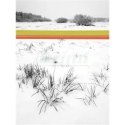 TopLine Plus páska,10mm, 200 m, žluto - oranžová, 50 ?/100 m