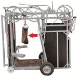 Paznehtářská fixační klec pro masný skot