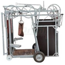 Paznehtářská fixační klec pro masný skot