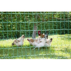 Síť pro drůbež, králíky - zelená VODIVÁ  výška 106 cm, d. 50 m, dvojitá špička