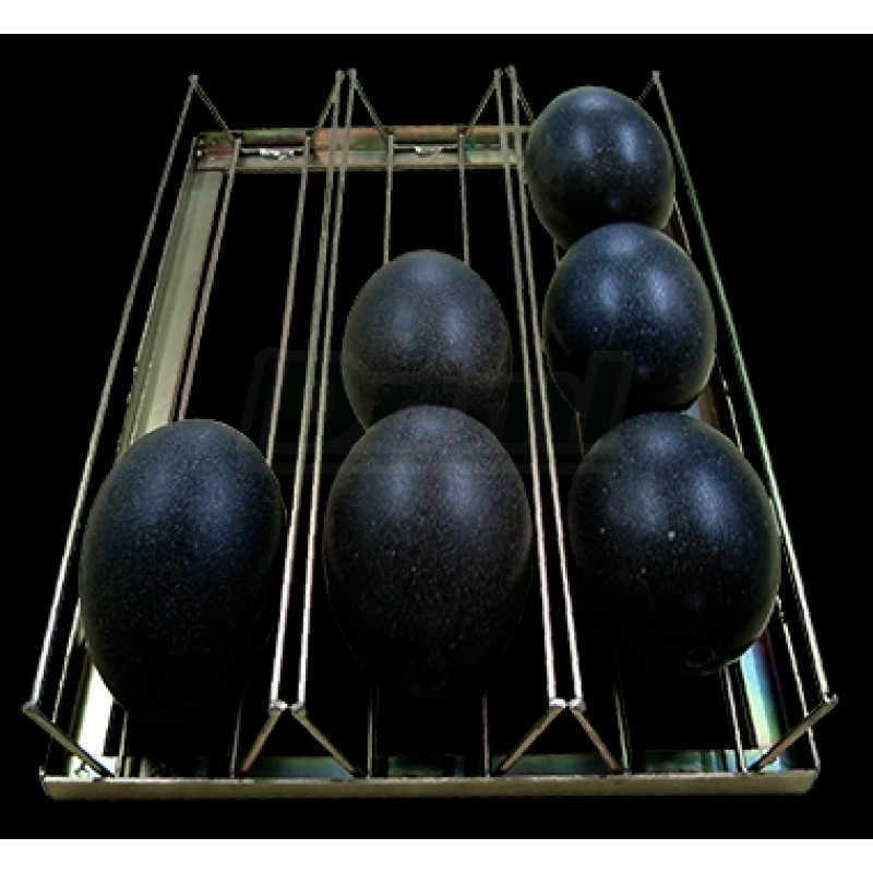 Kontejner Emu 9 vajec