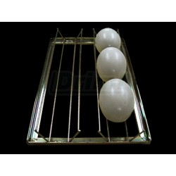 Kontejner pro vejce Nandu