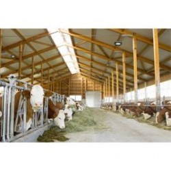 Halové LED světlo - 100 W, 13 500 lm bez regulace