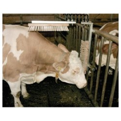 Drbadlo pružinové Texas