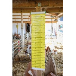 Mucholapka PHEROLL se závěsem 0,3 x 9 m, plocha 2,7m? s feromony a potiskem