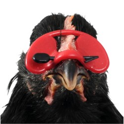 Brýle proti kanibalismu