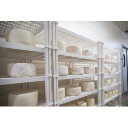 Plastová stohovatelná police 760 x 580 x 150 mm pro ukládání sýrů, masa ...