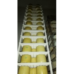 Plastová stohovatelná police 760 x 580 x 180 mm pro ukládání sýrů, masa ...