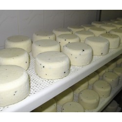 Perforované PP police - modul 250 x 400 mm, výška 30mm