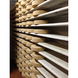 Perforované PP police - modul 250 x 400 mm, výška 30mm