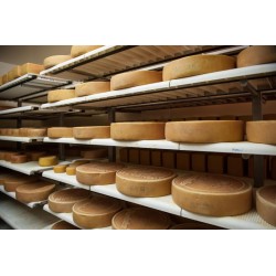 Perforované PP police - modul 250 x 400 mm, výška 30mm