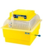 Líhně, inkubátory, dolíhně