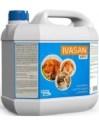 Dezinfekční přípravky