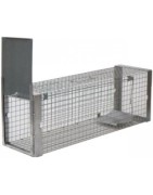 Pasti, sklopce, pastičky