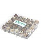 Kontejnery - plata do líhní