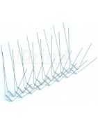 Hroty proti holubům