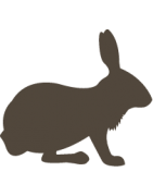 Králíci, myši, činčily